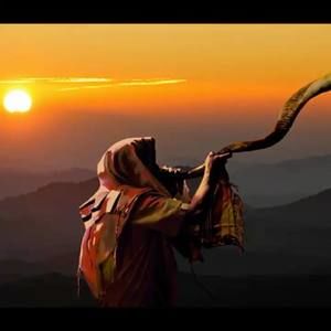 Meet your Posher, Omar